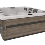 Bullfrog Spas Model A9L